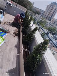 תמונה של נוף אחר