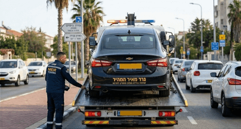 תמונה שצולמה להמחשת העבודות של גרר מאיר המהיר תמונה של גרר מאיר המהיר