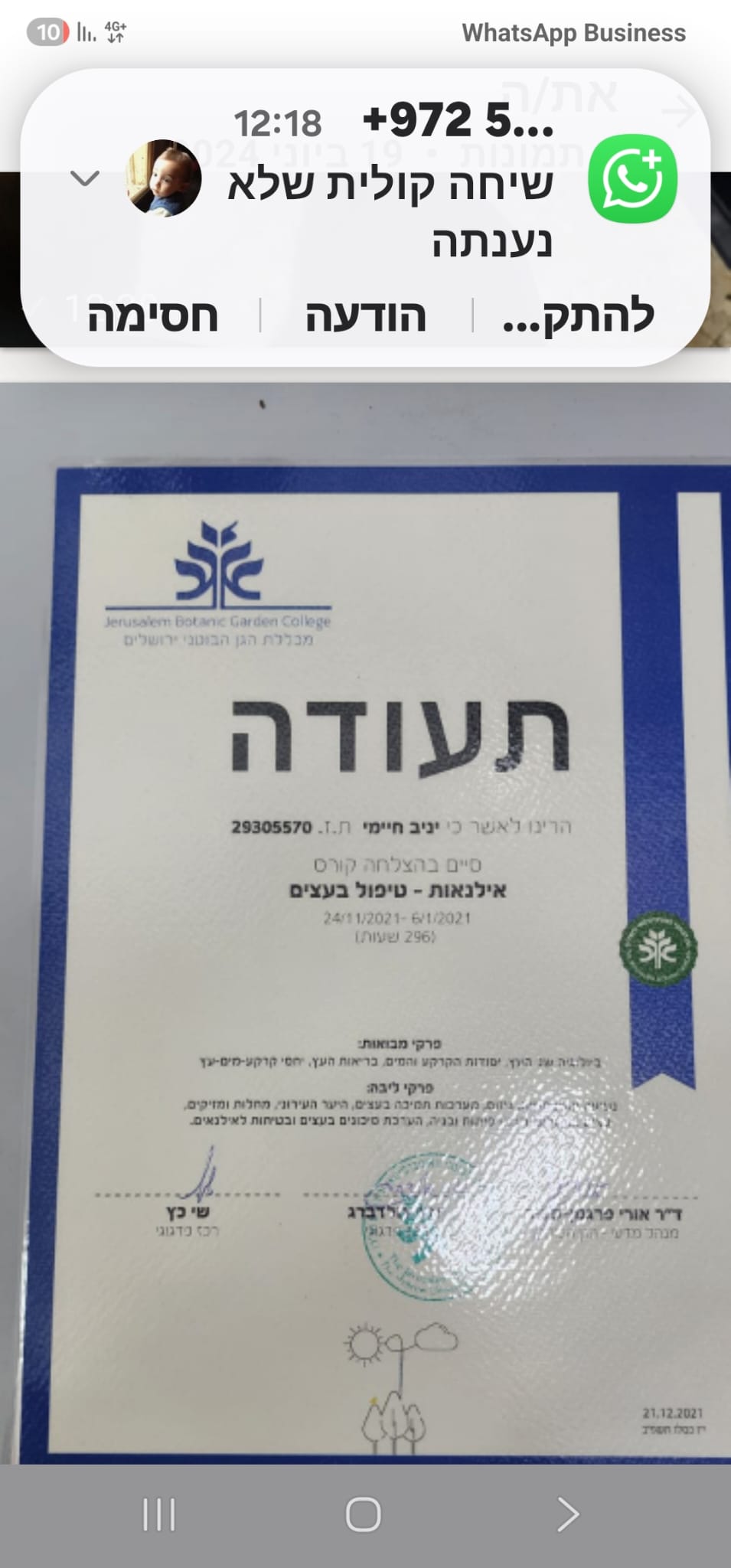 תמונה שצולמה להמחשת העבודות של שטרן שרותי גיזום וכריתת עצים תמונה של שטרן שרותי גיזום וכריתת עצים