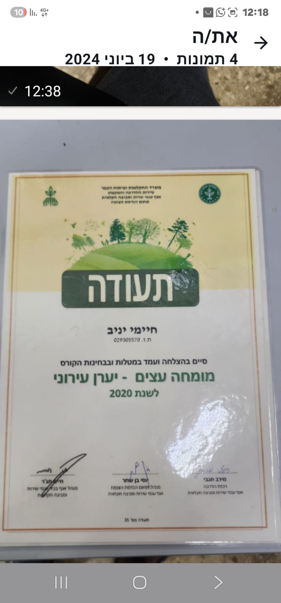 תמונה שצולמה להמחשת העבודות של שטרן שרותי גיזום וכריתת עצים תמונה של שטרן שרותי גיזום וכריתת עצים