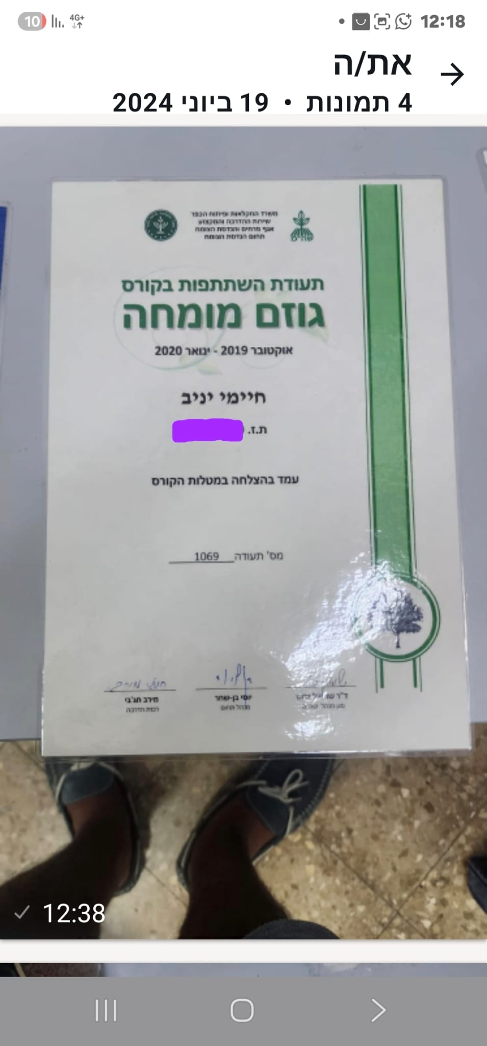 תמונה שצולמה להמחשת העבודות של שטרן שרותי גיזום וכריתת עצים תמונה של שטרן שרותי גיזום וכריתת עצים