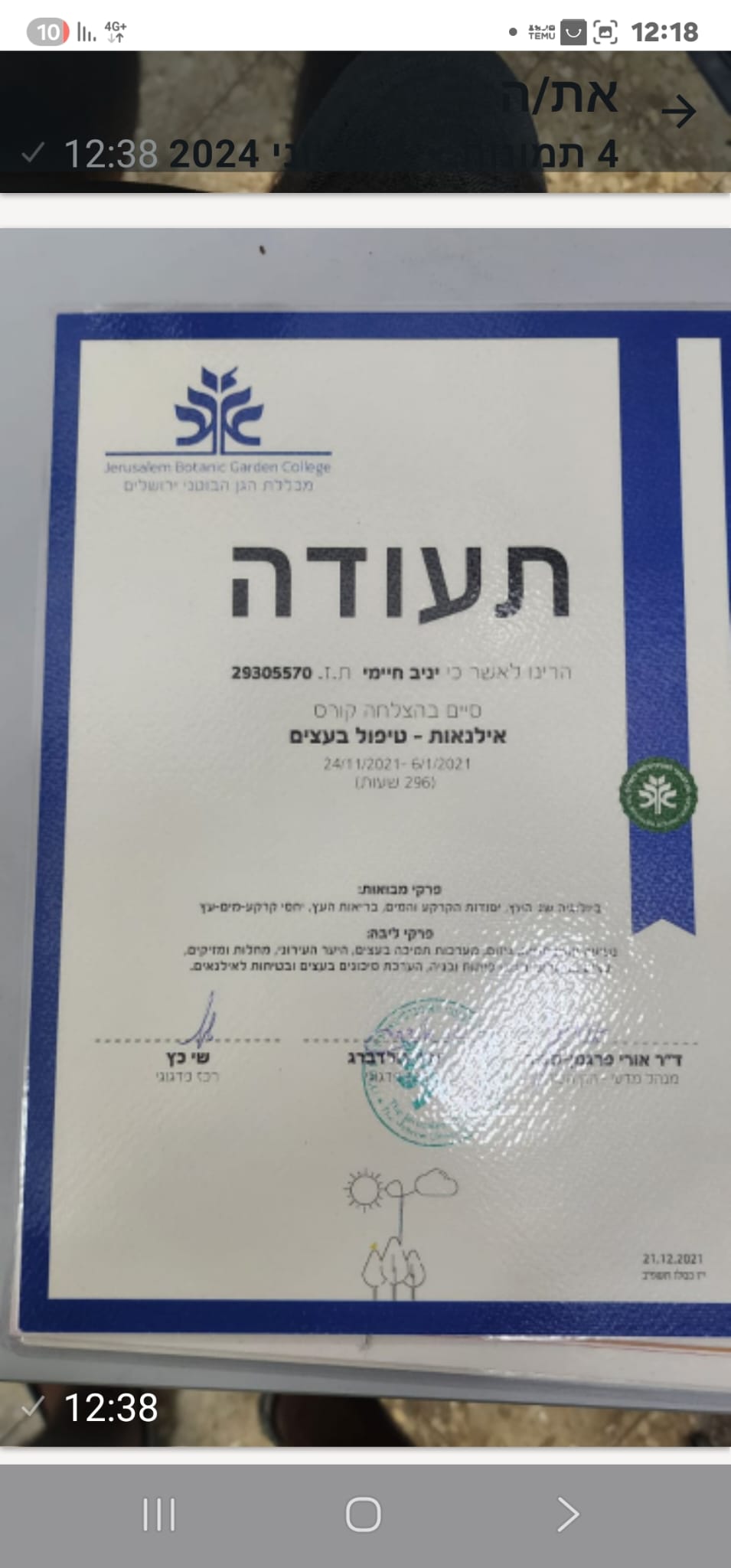 תמונה שצולמה להמחשת העבודות של שטרן שרותי גיזום וכריתת עצים תמונה של שטרן שרותי גיזום וכריתת עצים