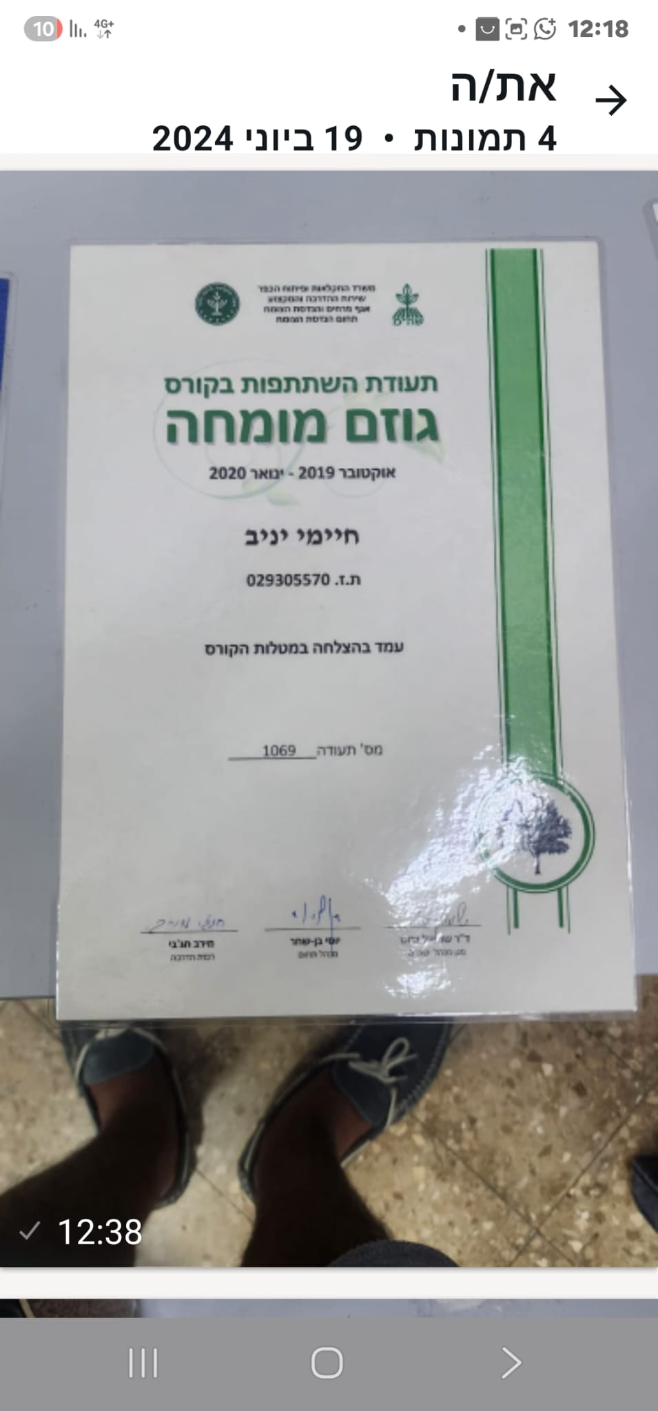 תמונה שצולמה להמחשת העבודות של שטרן שרותי גיזום וכריתת עצים תמונה של שטרן שרותי גיזום וכריתת עצים