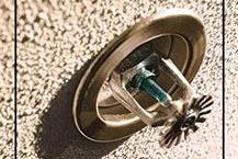 תמונה שצולמה להמחשת העבודות של מ. פינק בע"מ התקנת ספרינקלרים