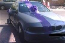 תמונה שצולמה להמחשת העבודות של פרחי חן רחובות פרחים וצמחי נוי