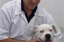 תמונה שצולמה להמחשת העבודות של ד"ר א.מרכז וטרינרי - בני ספיר ד"ר בני ספיר - טיפול בבעלי חיים