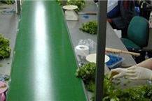 תכנון מתקני הרמה