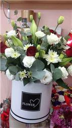 תמונה שצולמה להמחשת העבודות של פרחי רון תמונה של פרחי רון