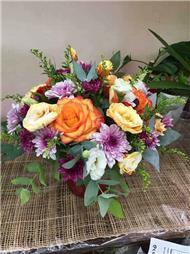 תמונה שצולמה להמחשת העבודות של פרחי רון תמונה של פרחי רון