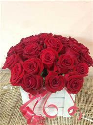 תמונה שצולמה להמחשת העבודות של פרחי רון תמונה של פרחי רון