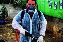 הדברת מזיקים בדרום