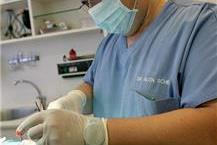 תמונה שצולמה להמחשת העבודות של המרכז הרפואי לחיות- ד"ר שיינר בע"מ ד"ר אלון שיינר